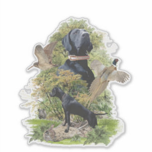 German Shorthaired Pointers (GSP)