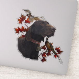 German Shorthaired Pointers (GSP)