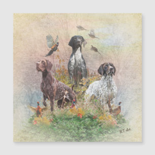 German Shorthaired Pointers (GSP), a hunting pheas