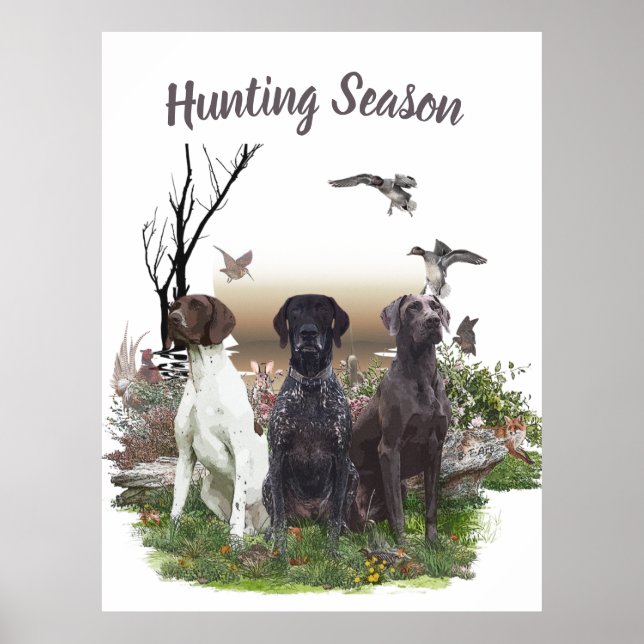 German Shorthaired Pointers (GSP), a hunting pheas Poster (Front)
