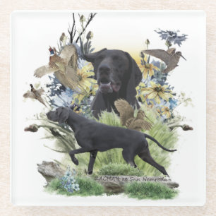 German Shorthaired Pointers (GSP) Glass Coaster