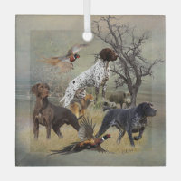 German Shorthaired Pointers (GSP)