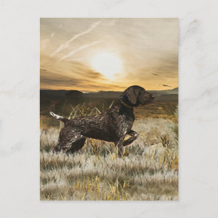 German Shorthaired Pointers (GSP)   Holiday Postcard
