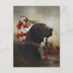 German Shorthaired Pointers (GSP) Postcard