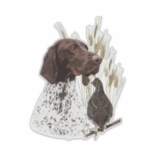 German Shorthaired Pointers (GSP) Postcard Coffee