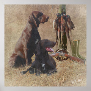 German Shorthaired Pointers (GSP) Poster