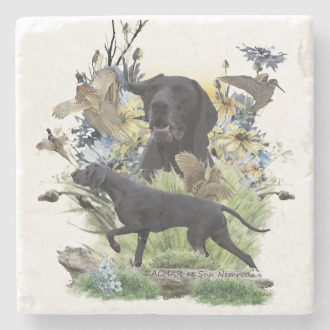 German Shorthaired Pointers (GSP)   Stone Coaster (Front)