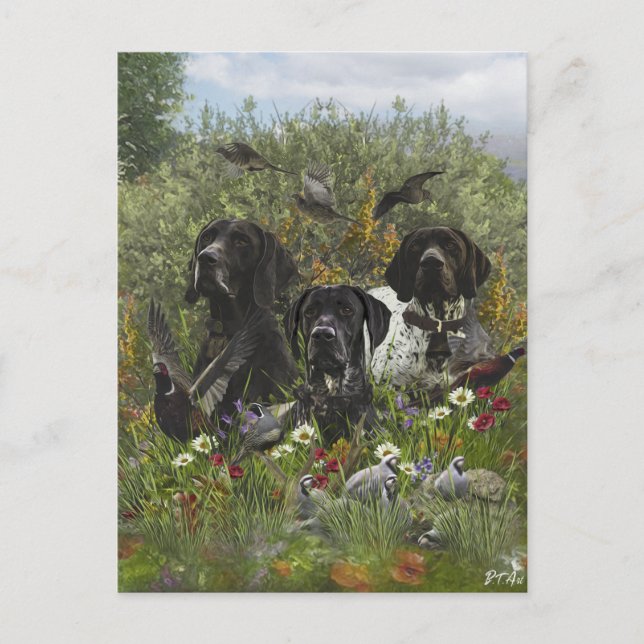 German Shorthaired Pointers Holiday Postcard (Front)