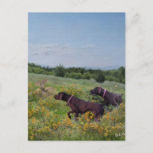 German Shorthaired Pointers    Holiday Postcard