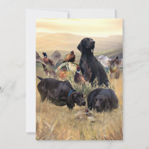 German Shorthaired Pointers  Invitation