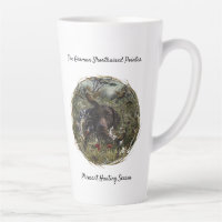 German Shorthaired Pointers