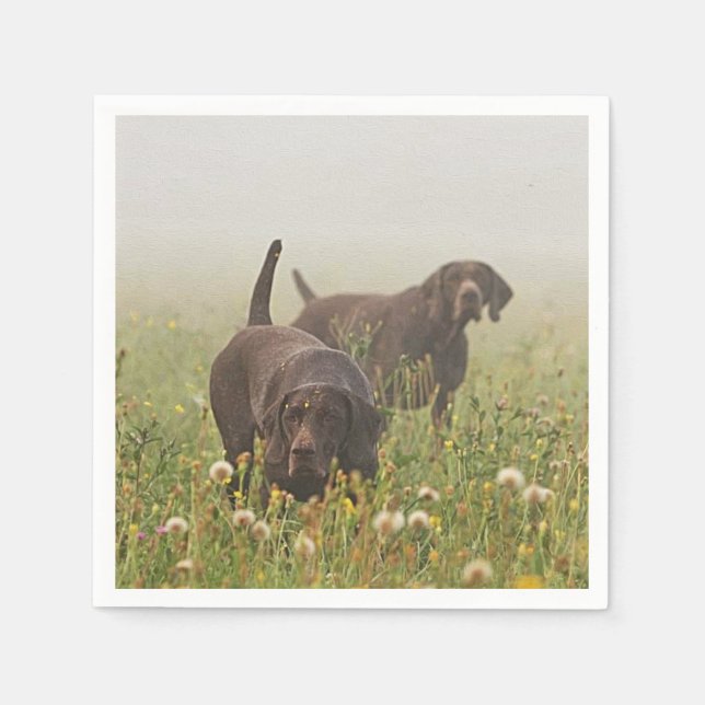 German Shorthaired Pointers  Napkin (Front)
