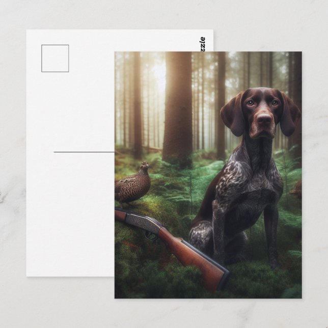 German Shorthaired Pointers Postcard (Front/Back)