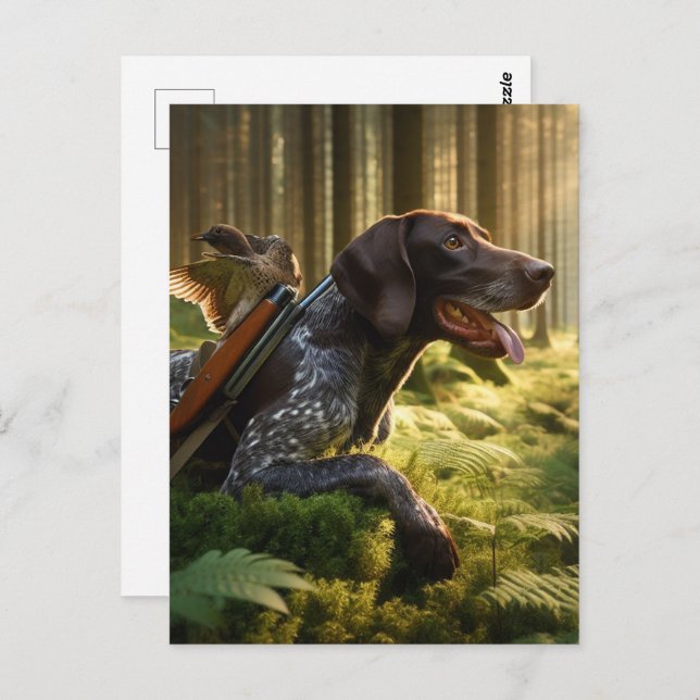 German Shorthaired Pointers Postcard (Front/Back)