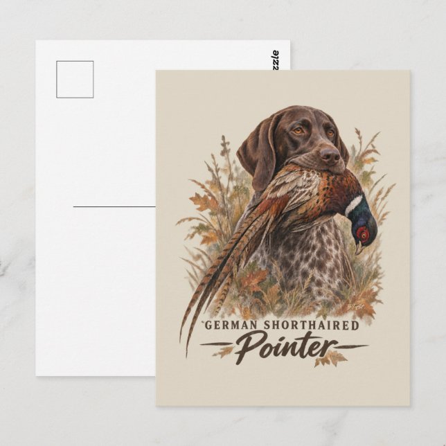 German Shorthaired Pointers  Postcard (Front/Back)
