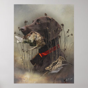 German Shorthaired Pointers Poster