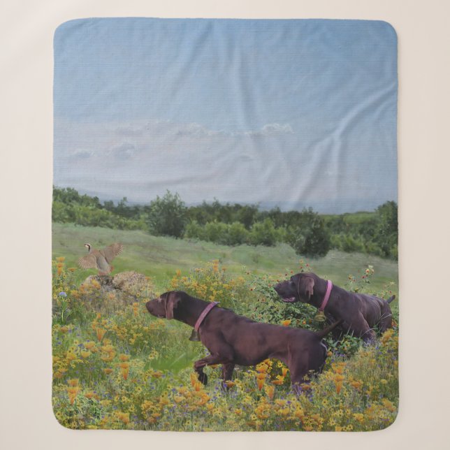 German Shorthaired Pointers    Sherpa Blanket (Front)