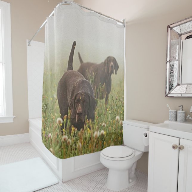 German Shorthaired Pointers  Shower Curtain (In Situ)