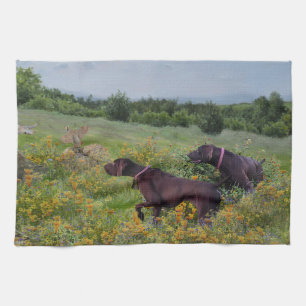 German Shorthaired Pointers    Tea Towel