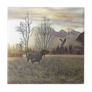 German Shorthaired Pointers Tile