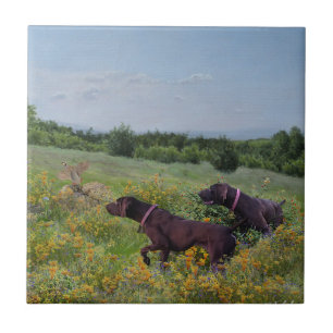 German Shorthaired Pointers    Tile