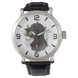 German Shorthaired Pointers Watch