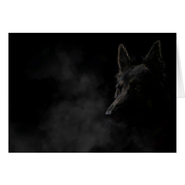 German shpherd dog (Front Horizontal)