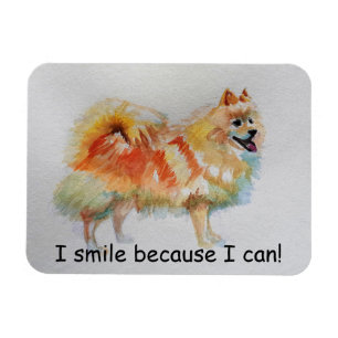 German Spitz Dog 'I Smile Because I Can' Card Magnet