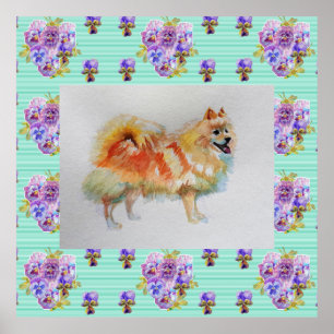 German Spitz Pomeranian Dog art Painting Poster