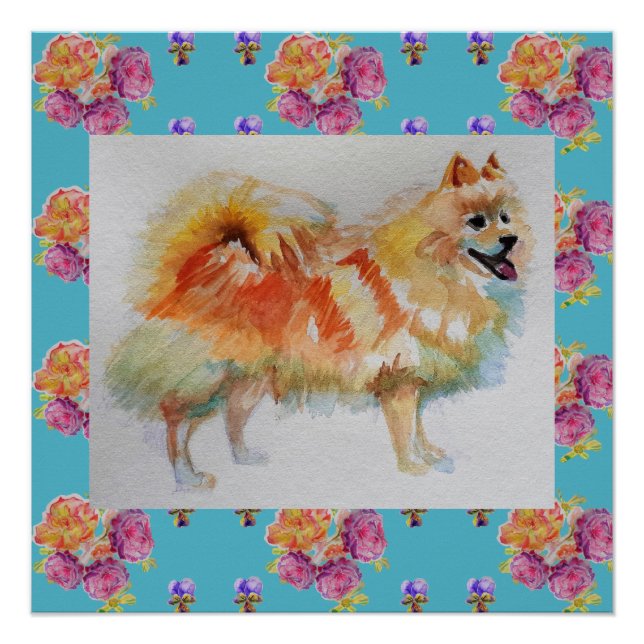 German Spitz Pomeranian Dog Roses Print Poster (Front)