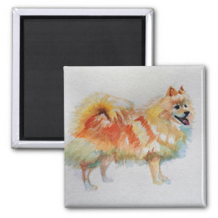 German Spitz Pomeranian Watercolor Dog Dogs Magnet