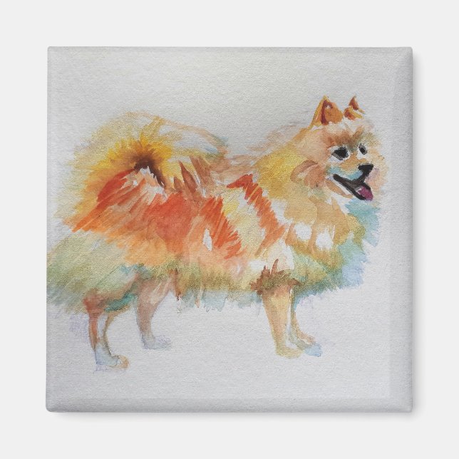 German Spitz Pomeranian Watercolor Dog Dogs Magnet (Front)