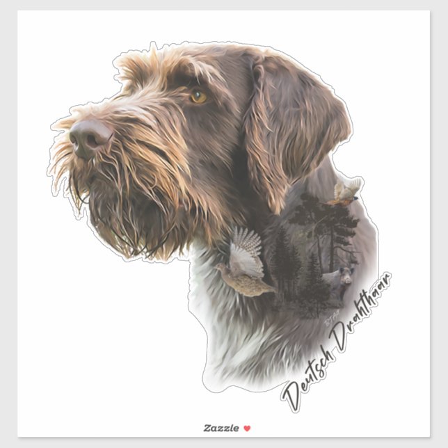German Wirehaired Pointer        (Sheet)