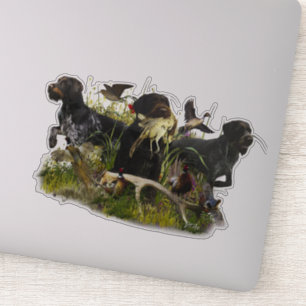German Wirehaired Pointer