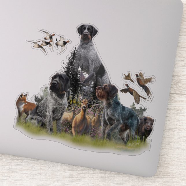 German Wirehaired Pointer   (Detail)