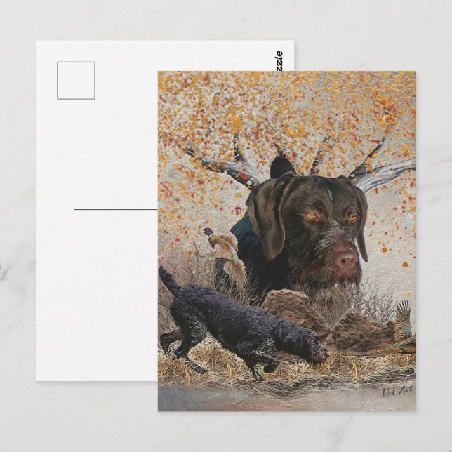 German Wirehaired Pointer , Autumn hunting    Postcard (Front/Back)