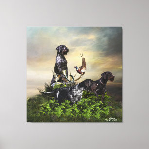 German Wirehaired Pointer  Canvas Print