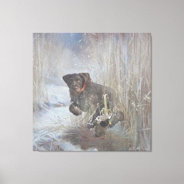  German Wirehaired Pointer Canvas Print (Front)
