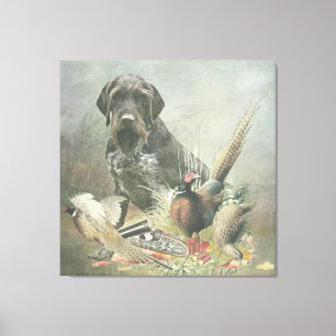 German Wirehaired Pointer    Canvas Print
