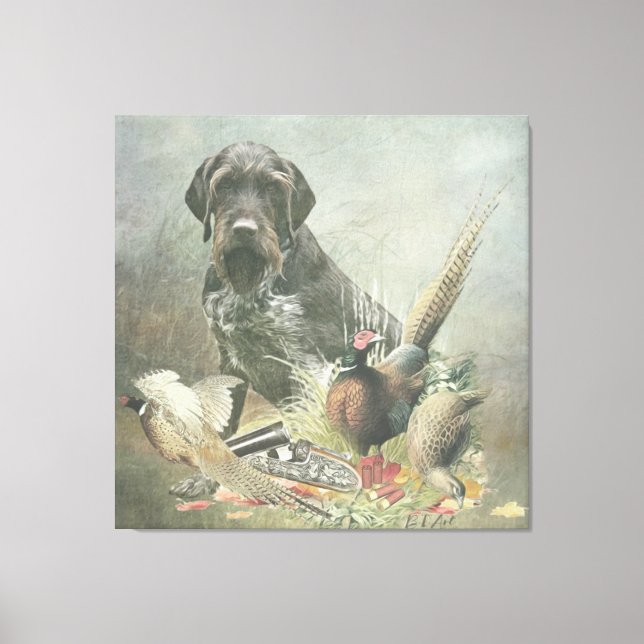 German Wirehaired Pointer    Canvas Print (Front)