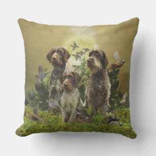  German Wirehaired Pointer     Cushion