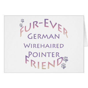German Wirehaired Pointer Furever