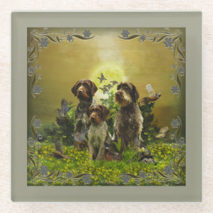 German Wirehaired Pointer Glass Coaster