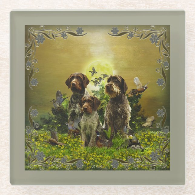  German Wirehaired Pointer  Glass Coaster (Front)
