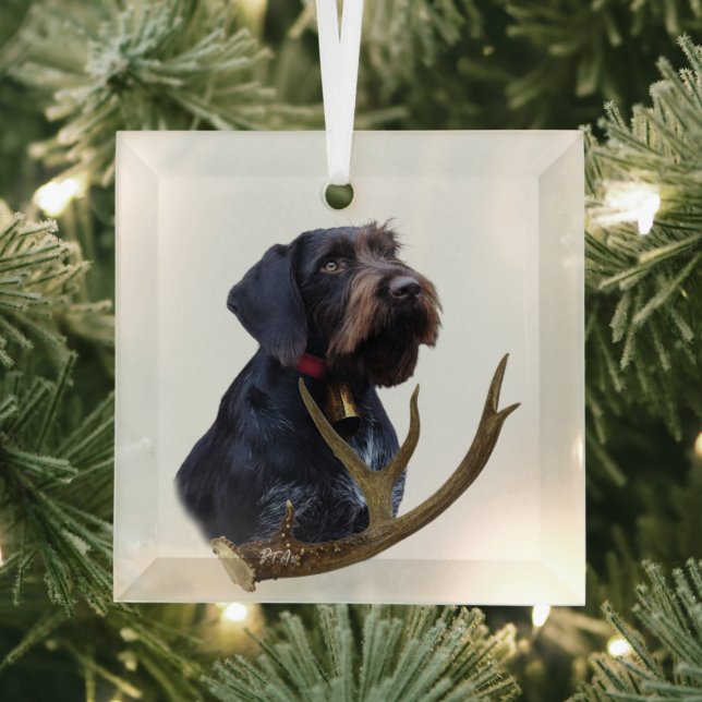 German Wirehaired Pointer   Glass Tree Decoration (Insitu)