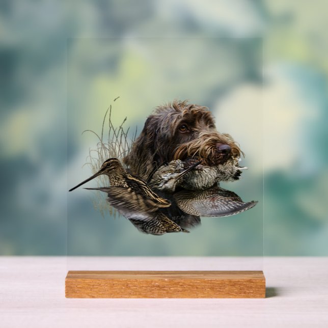 German Wirehaired Pointer, GWP Acrylic Sign (Neutral)