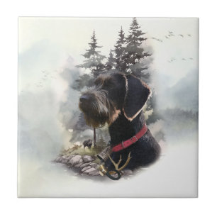 German Wirehaired Pointer, GWP Tile