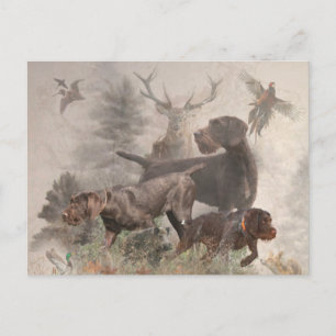 German Wirehaired Pointer Holiday Postcard