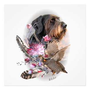 German Wirehaired Pointer    Photo Print