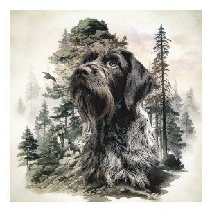 German Wirehaired Pointer Photo Print